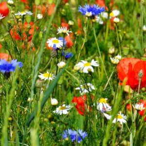 Regional gut vernetzt